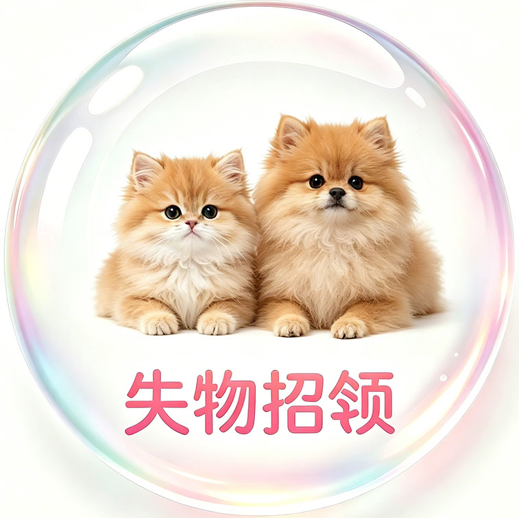 打听求助